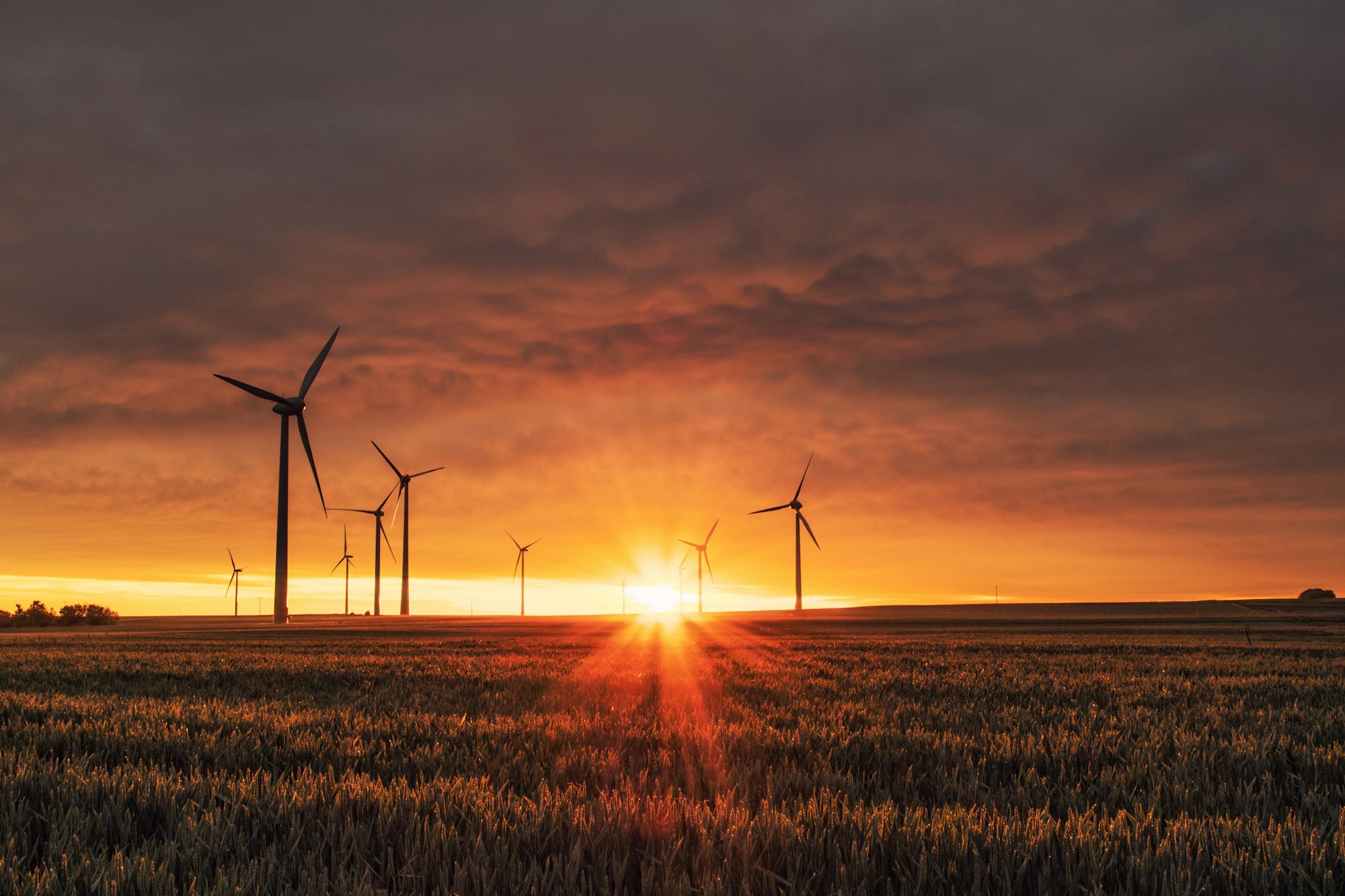 Wind turbines on a ridge at dusk
